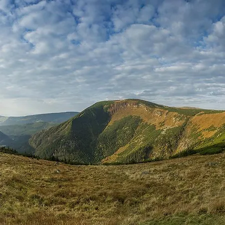 Widokowy 公寓 卡尔帕奇