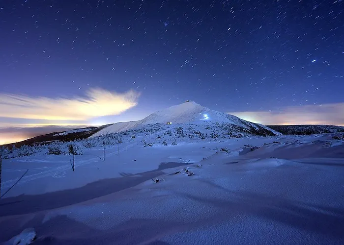 Widokowy Apartament *